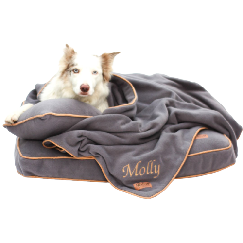 Personalised pet accessories best sale