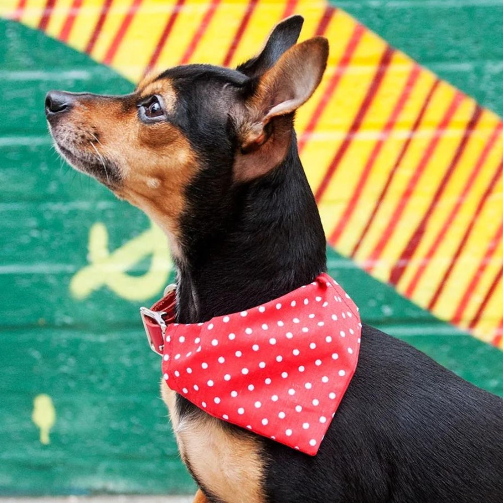 Creature Clothes Slip On Bandana Red Polkadot Small