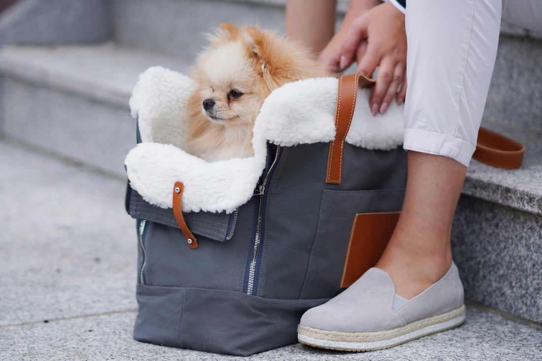 Liiva Grey Dog Carrier Handbag by Labbvenn