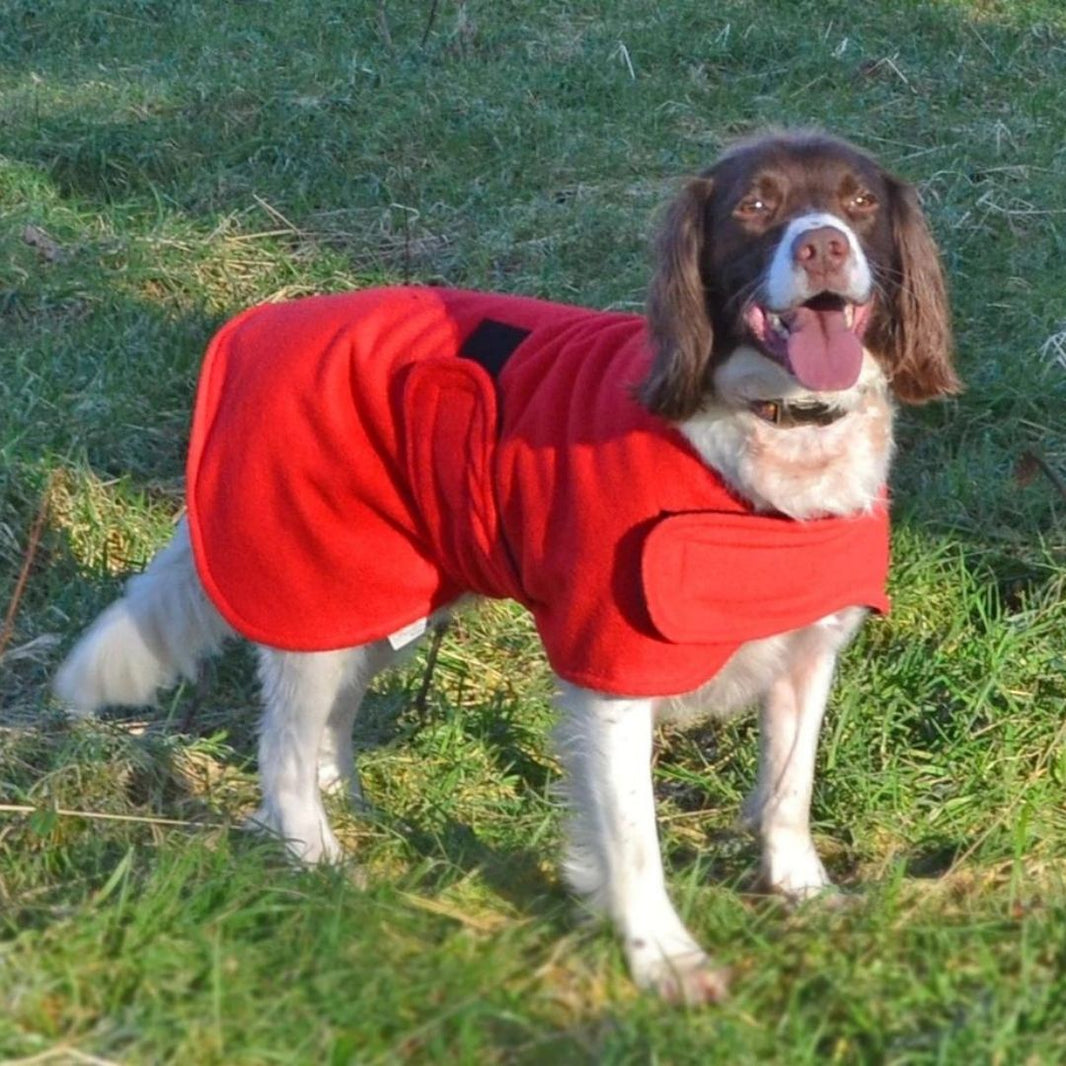 Freckles Designs Microfibre Dog Drying Coats and Dog Cooling Coats Chelsea Dogs